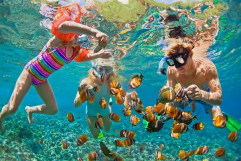 Kids swimming in tropical water with fish