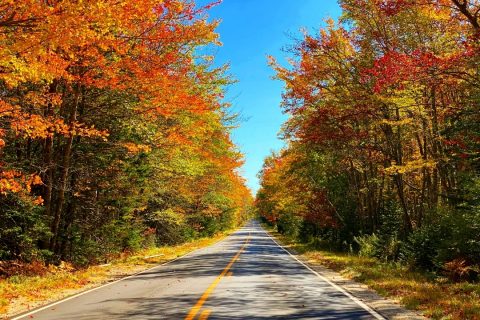 a fall foliage lined road in Maine USA
