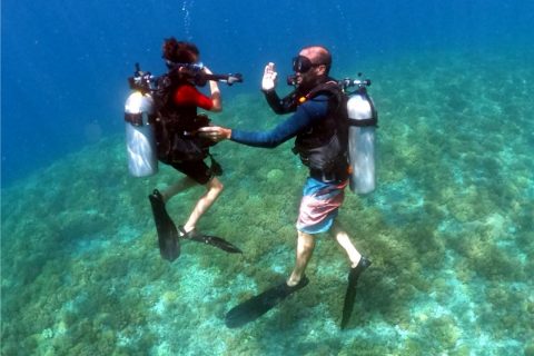 Child and parent scuba diving