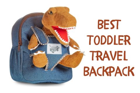Cute dinosaur backpack