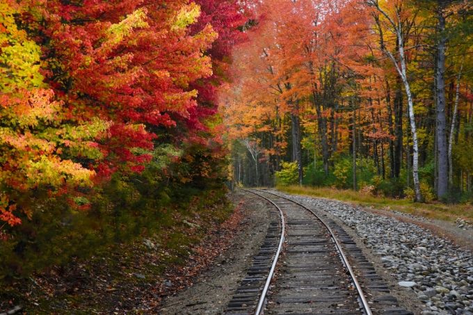 train track through fall leaves