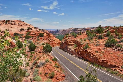 Road through the desert in Americas Southwest