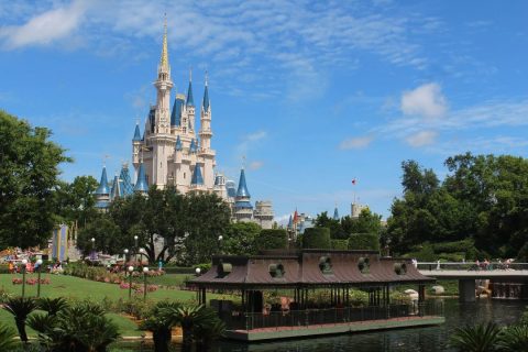 OG Feature Images - Disney World Accommodations for Large Families