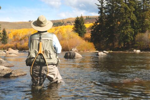 a many fly fishing in a river