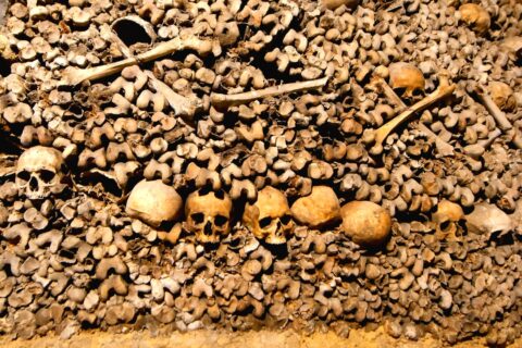 Bones and skulls in the Paris Catacombs
